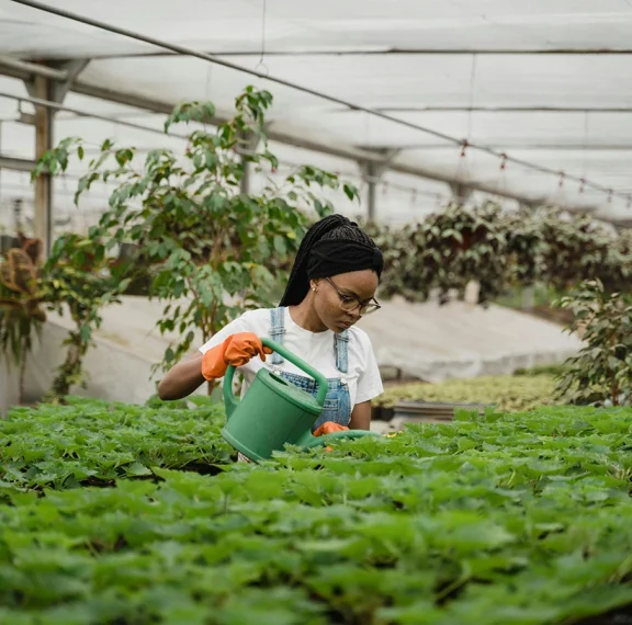 Ultrices sagittis orci a scelerisque purus semper eget duis at. Sollicitudin nibh sit amet.